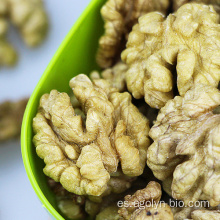 grano de nuez de mariposa blanca superior sin cáscara